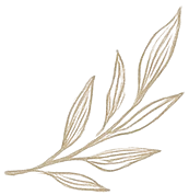 decorative sandwich image